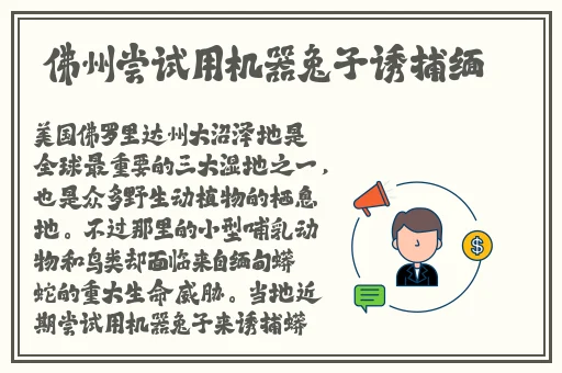 约战平台安卓版下载